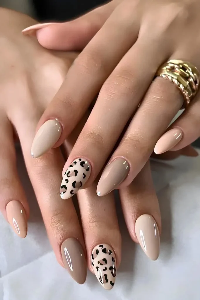 Animal Print Accents